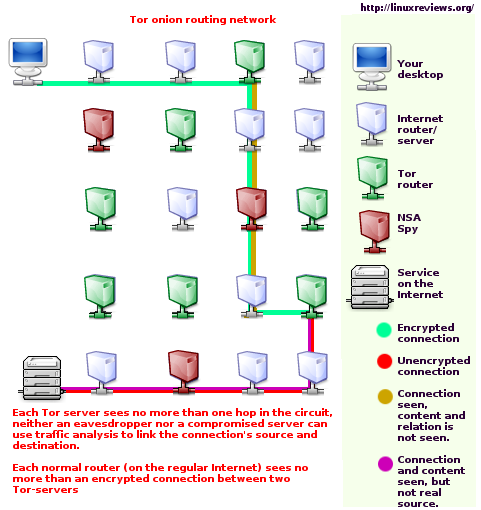 Tor network schema